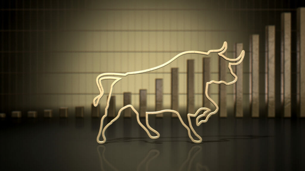 what is a bull market strategy