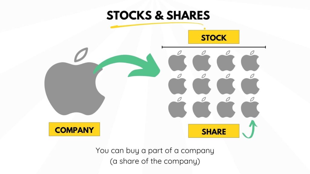 stocks and shares